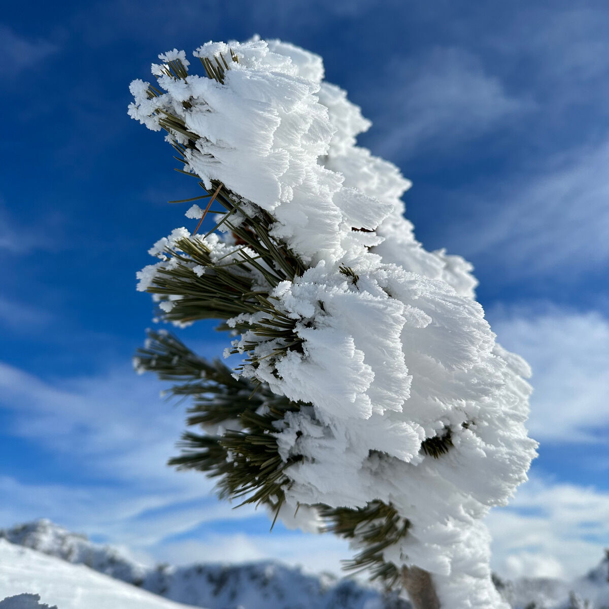 utah-ski-1.jpg