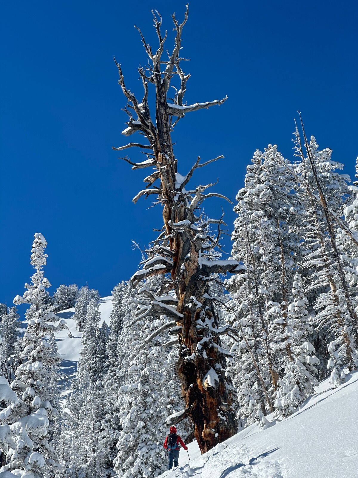 utah-ski-10.jpg